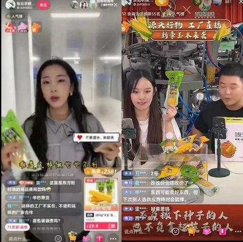 东北农嫂的爆料视频大全,揭秘农村生活真实面貌