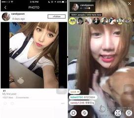某网红女神爆料视频播放,视频播放背后的惊人真相
