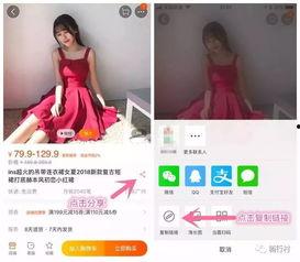 内部人士爆料白鹿视频大全,白鹿视频大全背后的秘密