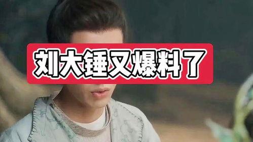 刘大锤爆料辛巴视频,真相大白！