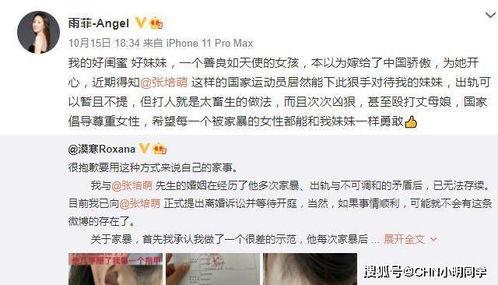 老马老婆爆料视频大全在线观看,揭秘不为人知的幕后故事