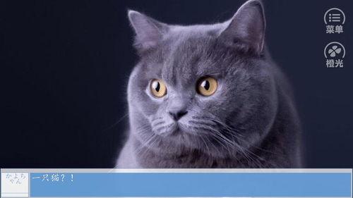 热点爆料蓝猫视频