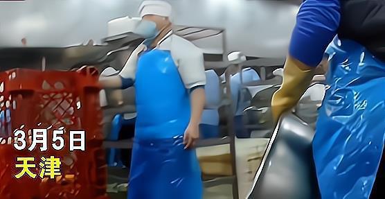 配餐爆料视频,视频爆料带你直击后厨真相