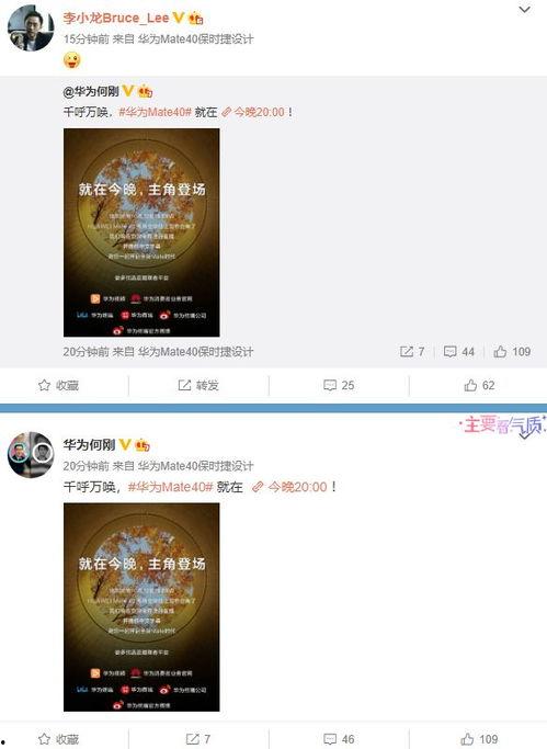 蓝议员最新爆料视频,揭秘事件背后惊人真相