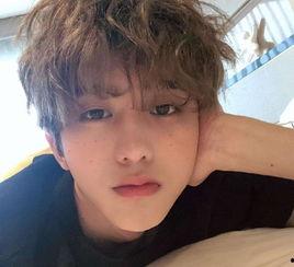 圈内爆料蔡徐坤白鹿视频,幕后真相揭秘