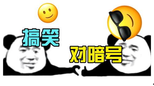 爆料笑话段子搞笑视频下载