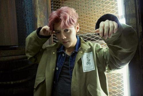 鹿晗最新爆料视频,最新爆料视频背后的故事与感悟