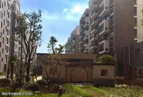 揭阳人民热线爆料案件最新,案件追踪，真相大白！