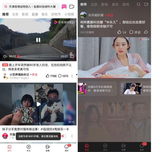 视频新瓜最新爆料,揭秘娱乐圈最新热点事件